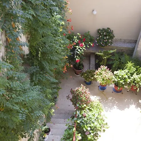 Affittacamere Sobe Andreis Vela Luka