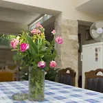 Guest house Sobe Andreis 3*