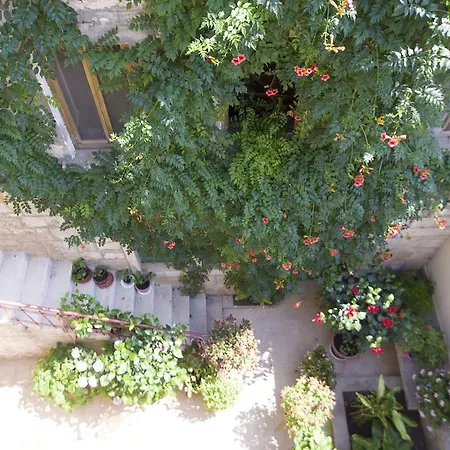 Sobe Andreis Guest house Vela Luka