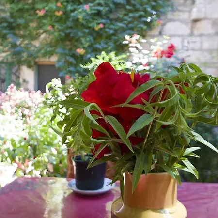 Sobe Andreis Maison d'hôtes 3*