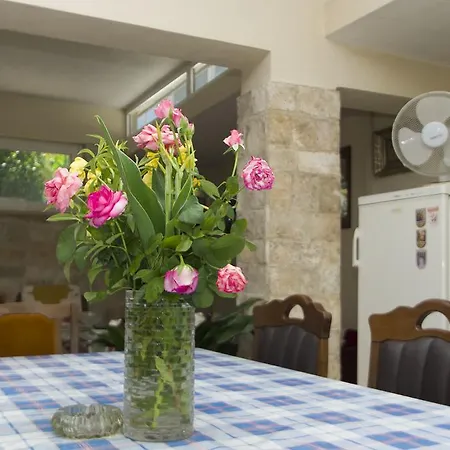Guest house Sobe Andreis 3*