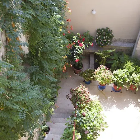 Guest house Sobe Andreis Vela Luka